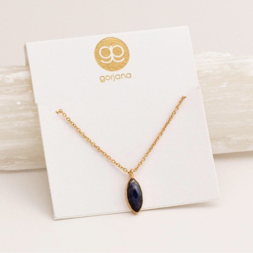 ✨NWT! Gorjana Palisades Necklace